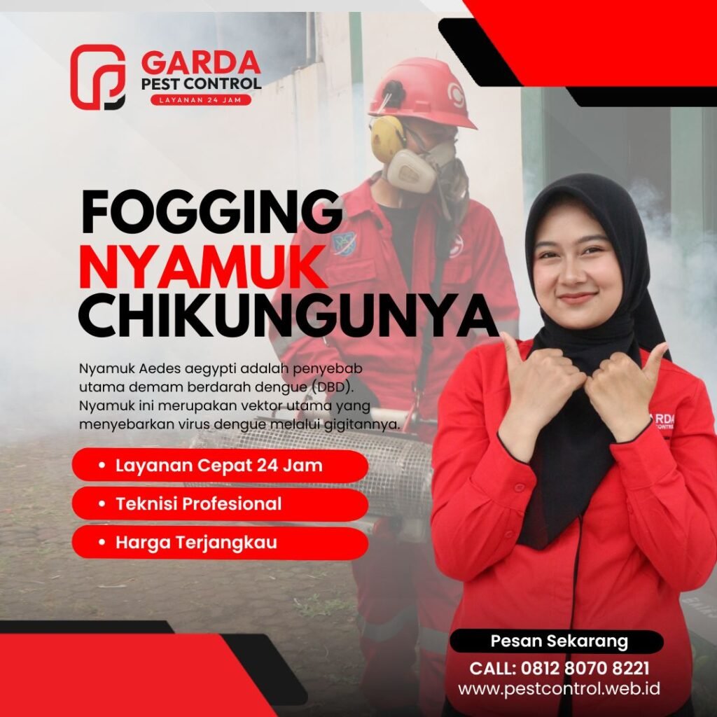 Jasa Fogging Nyamuk di Magelang Berkualitas Terbaik