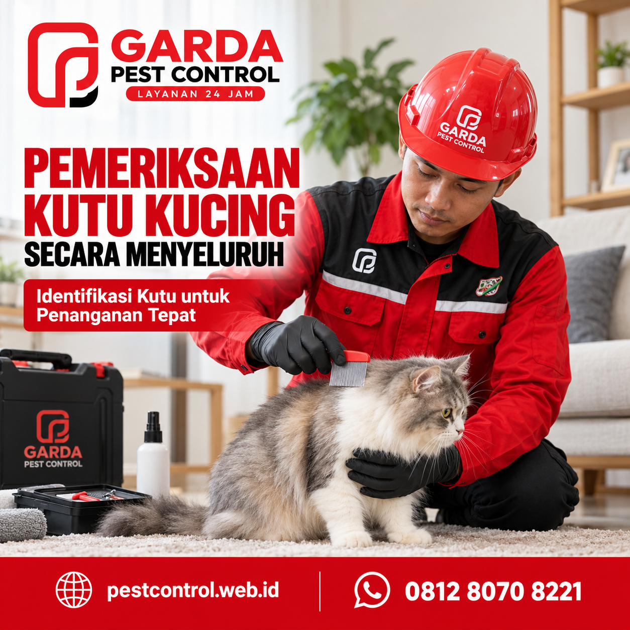 Jasa Pembasmi Kutu Kucing Magelang untuk Rumah: Bebas Gatal Cepat