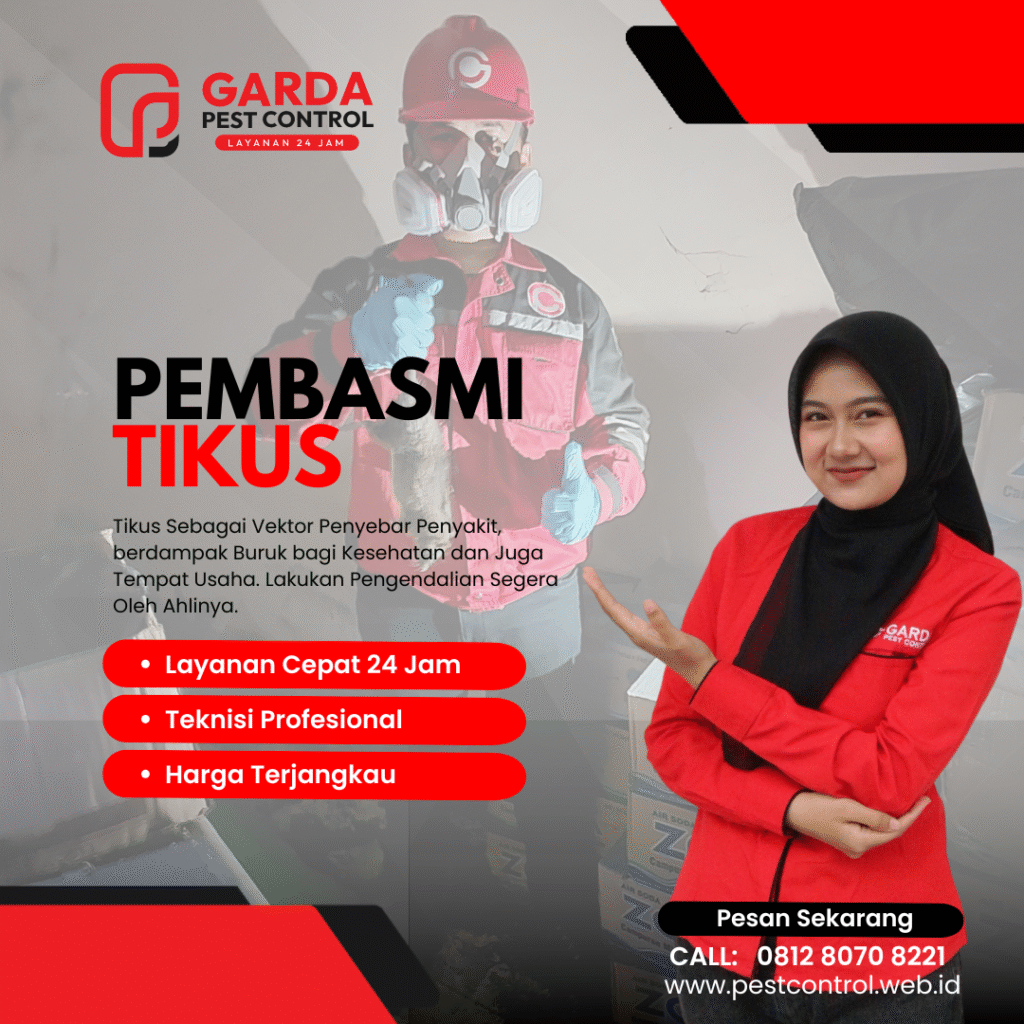 Jasa Pembasmi Tikus di Tangerang Respon Cepat 24 Jam