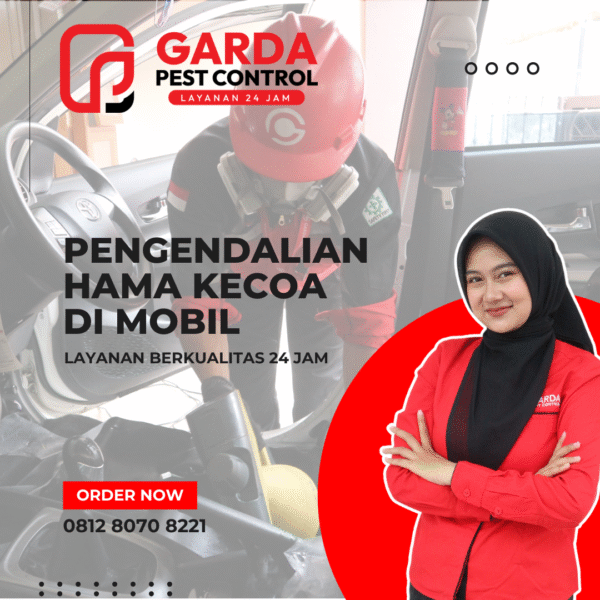 Jasa Pembasmi Kecoa di Mobil Terbaik dan Bergaransi