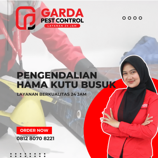 Jasa Pengendalian Hama Kutu Kasur atau Kutu Busuk