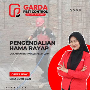 Jasa Anti Rayap Terbaik dan Terkemuka di Indonesia