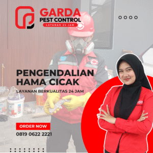 Jasa Pembasmi Cicak Profesional