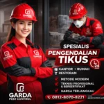 Jasa Pembasmi Tikus di Solo Berpengalaman