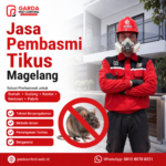 Biaya Jasa Basmi Tikus Magelang Terbaru & Terlengkap