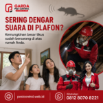 Jasa Pembasmi Tikus Untuk Restoran Magelang Terbaik & Aman