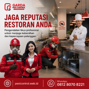 Biaya Jasa Pest Control Tikus Magelang dan Panduan Penanganan Hama Pengerat