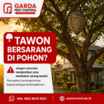 Jenis Tawon Berbahaya di Pemukiman dan Risiko Sengatannya