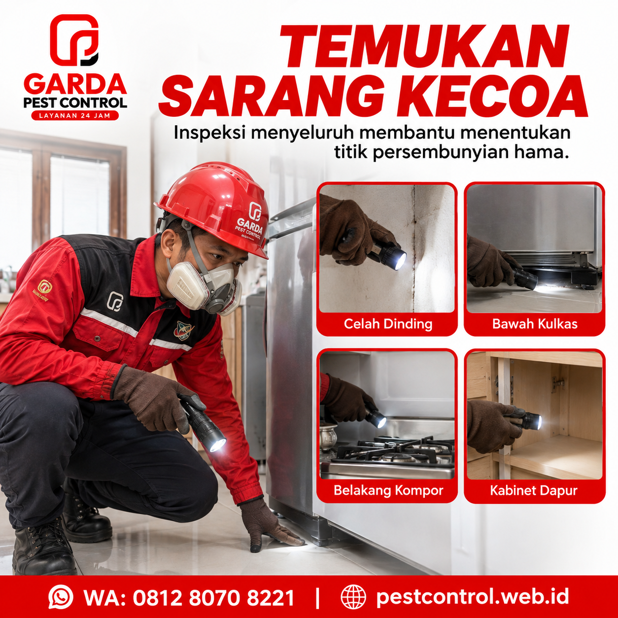 Jasa Basmi Kecoa Magelang Berpengalaman dan Bergaransi - Gambar 3