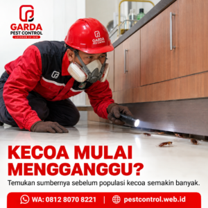 Jasa Pembasmi Kecoa Magelang untuk Rumah dan Tempat Usaha