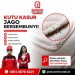 Biaya Jasa Pembasmi Kutu Kasur Magelang dan Faktor Penentunya