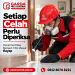 Berapa Biaya Jasa Anti Rayap Profesional